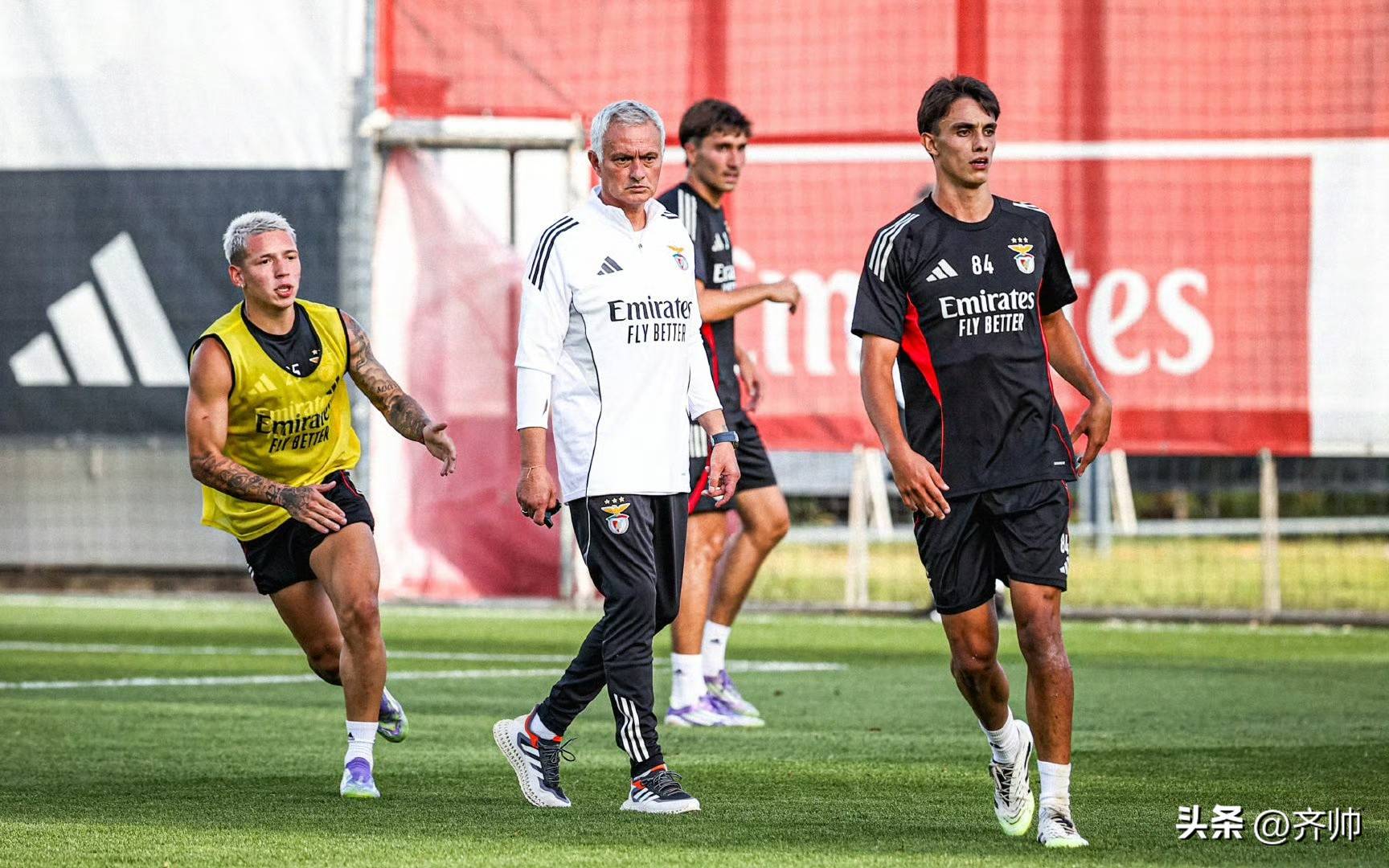 转会期突围战来临，达拉斯独行侠围绕葡超防线松动，话题不断，数据趋势出现新变化的简单介绍-雷速网页版