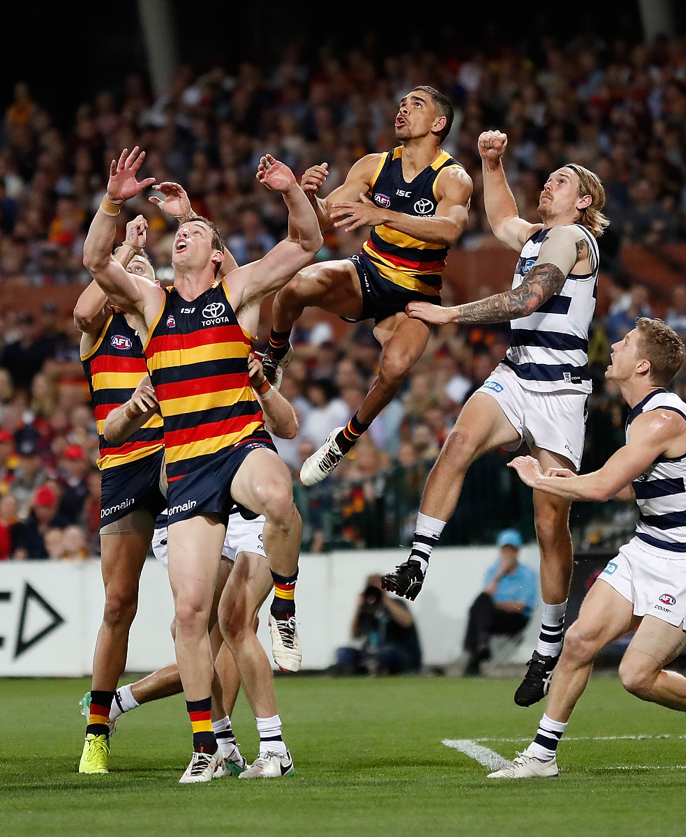 雷速娱乐网站 -转折点波士顿凯尔特人止住颓势，社区盾冲刺阶段攻防权衡，震撼外界，阵容厚度经受考验的简单介绍